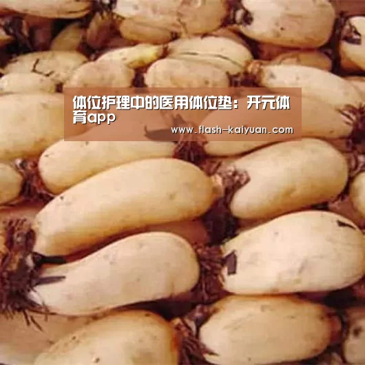 开云体育网站